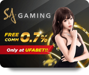 Các Khu Vực Cá Độ Phổ Biến Tại New88 Cá Độ Cường